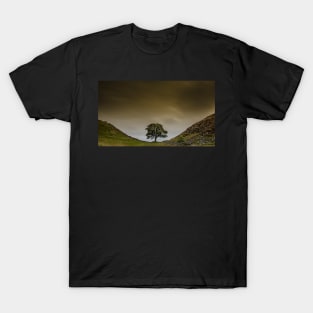 Sycamore Gap Hadrians wall T-Shirt
